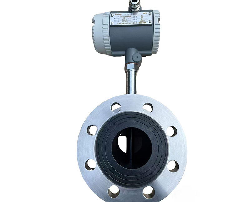 304衬PFA涡街流量计